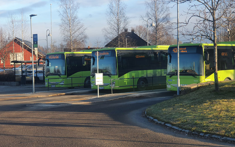 Buss